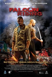 Falcon Rising Türkçe Dublaj izle