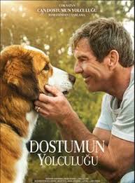 Dostumun Yolculuğu Fragman izle